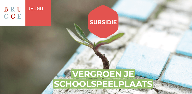 Vergroen je schoolspeelplaats Brugge