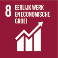 SDG 8