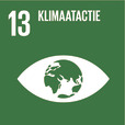 SDG 13