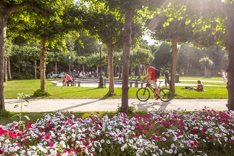 Voorstel herinrichting 2020