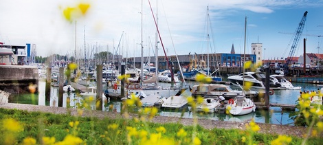 De Toekomst van Zeebrugge